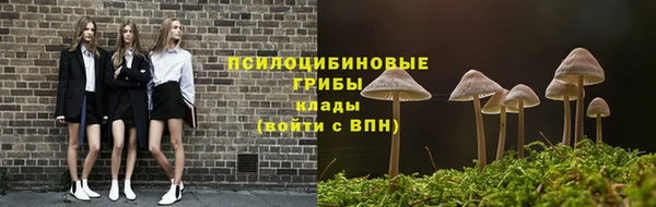 синтетический гашиш Белокуриха