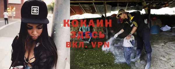 крисы Беломорск